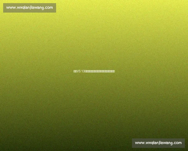 基于VS 13的创新技术发展与应用探索及未来趋势分析